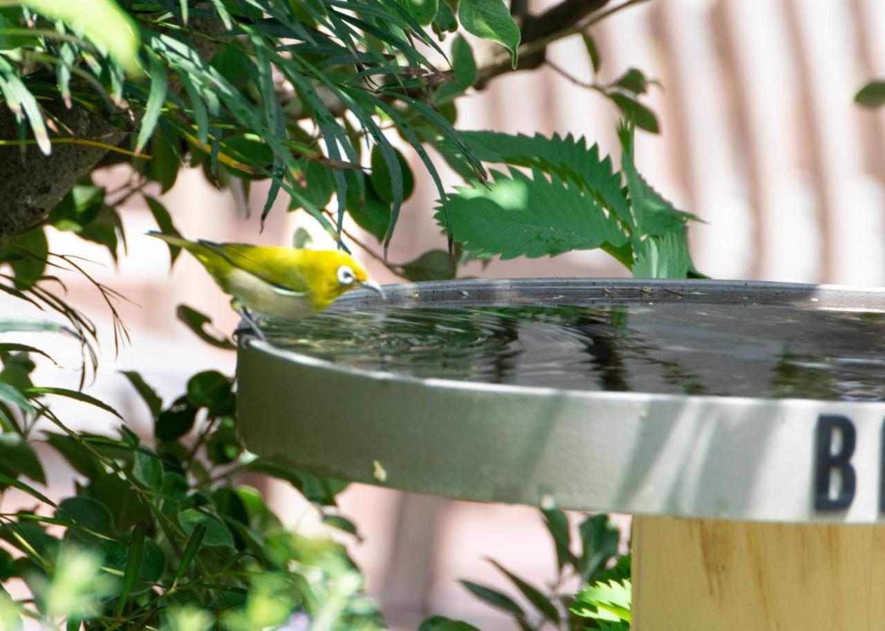 Bird Hotel Kamakura Bagian luar foto
